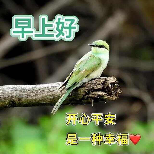 文章图片2