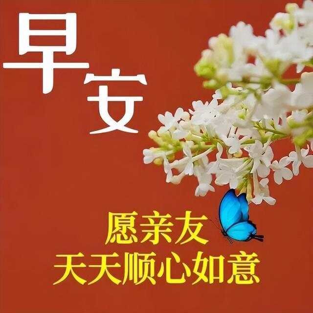 文章图片7