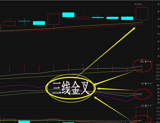 股市指标详解最好用的什么_股市高手的十个段位_