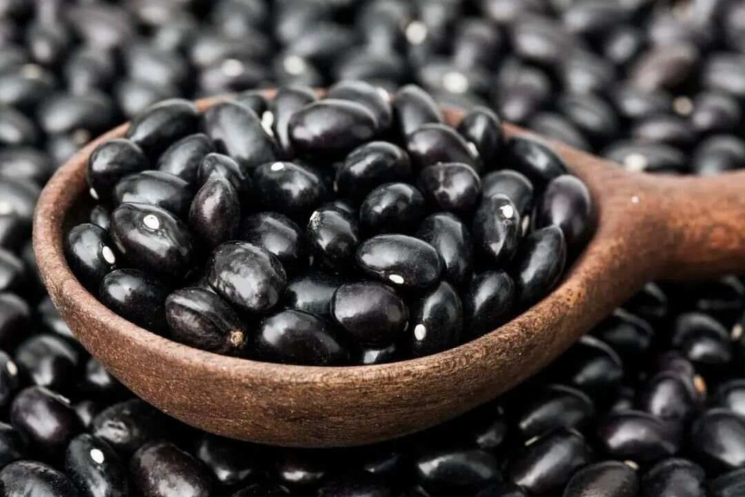 黑豆红枣桑葚的功效与作用__黑豆红枣煮西洋参的功效