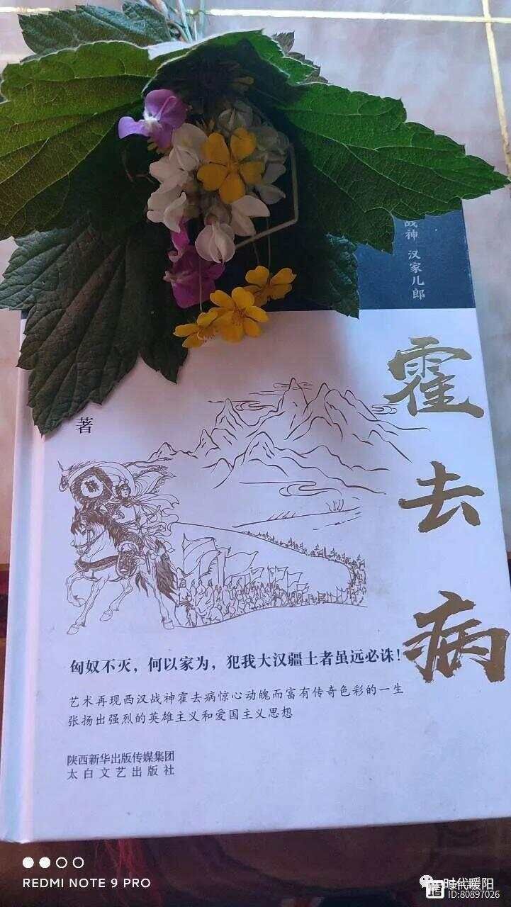霍去病原文_霍去病怎么念_