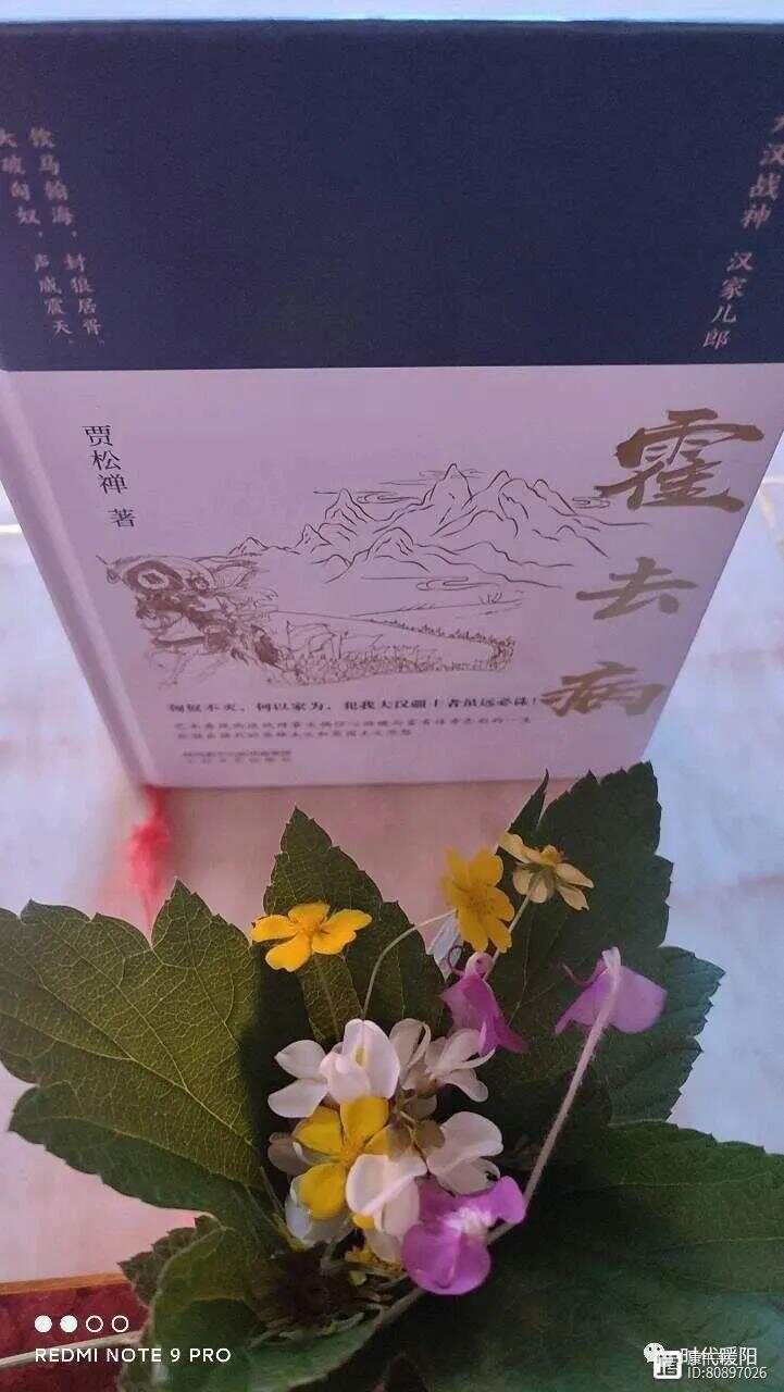 霍去病卫子夫__霍去病是卫子夫的亲外甥吗