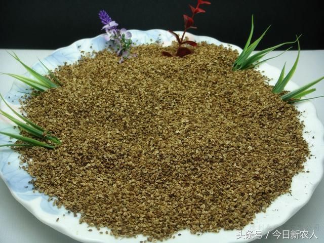 农村路旁的这3种野草，是非常好的中草药
