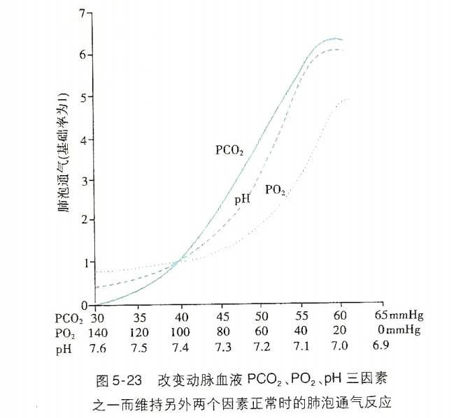 呼吸运动调节反射弧_呼吸系统的神经反射性调节_