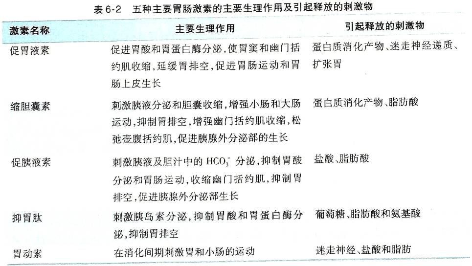 _生理学┃消化生理概述_消化生理概述思维导图