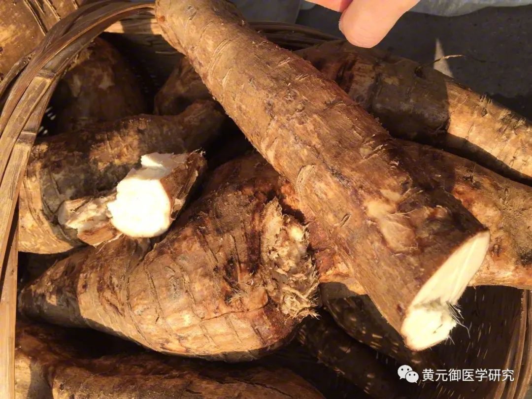 _葛根桂枝汤颈椎病_颈椎病桂枝加葛根汤