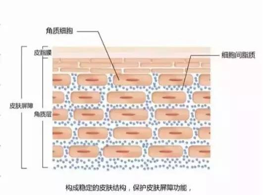 胸前长痘痘是什么原因？