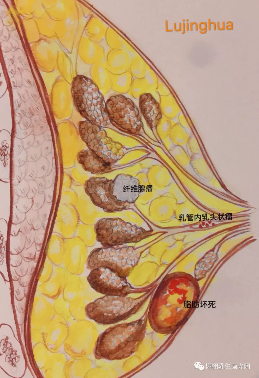 想了解一下青春期男生的心理在想些什么？