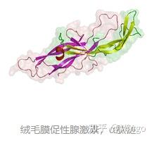肿瘤滋养细胞有哪些_肿瘤滋养细胞的特点_滋养细胞肿瘤
