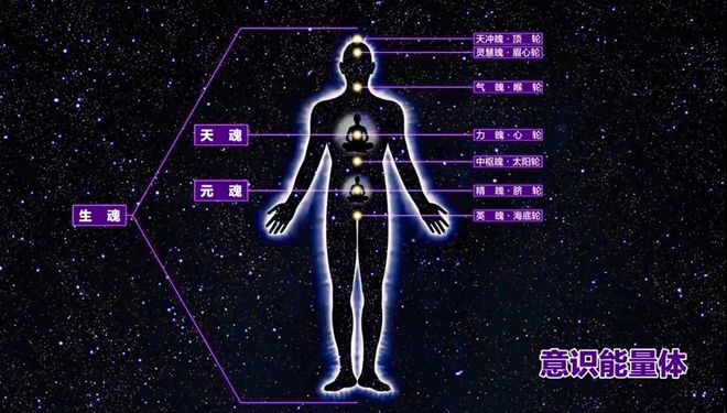 营养素_苹果有哪些维生素营养_素营养粉