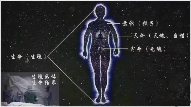 苹果有哪些维生素营养_素营养粉_营养素