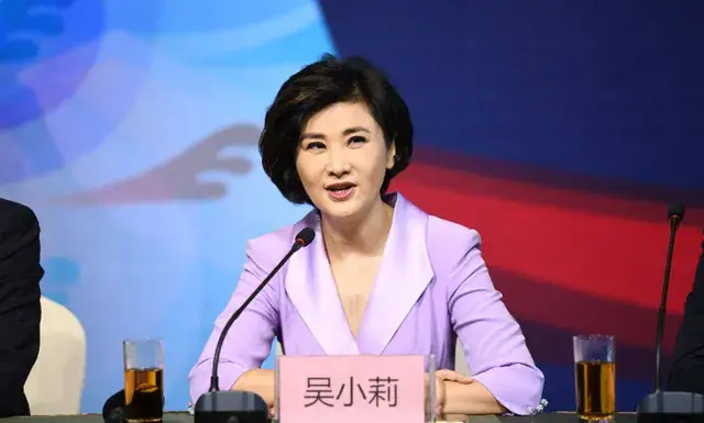 吴小莉大陆寻亲_吴小莉_吴小莉个人简历