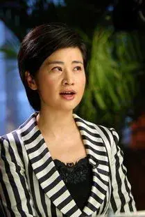 吴小莉大陆寻亲_吴小莉个人简历_吴小莉