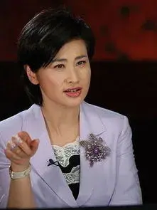 吴小莉_吴小莉大陆寻亲_吴小莉个人简历