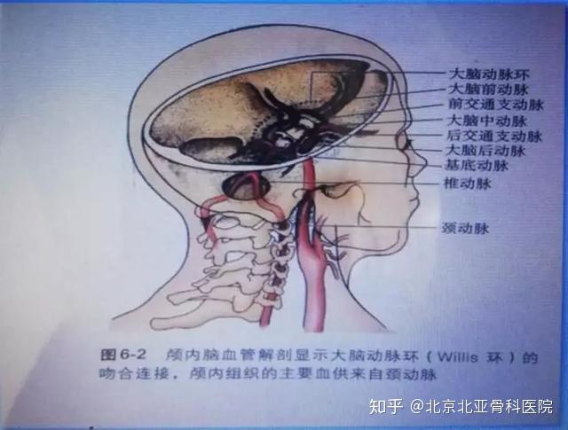 脑彩超怎么做过程图片_脑彩超_脑彩超多少钱一次