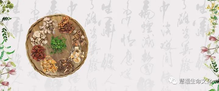 慧福每日一偏方——水蛭粉敷脐治肾结石