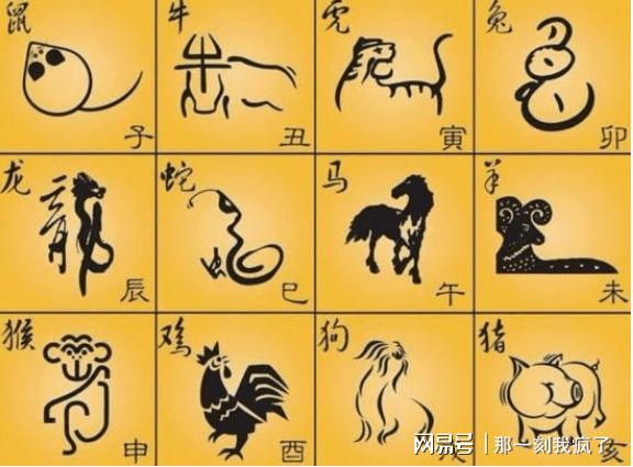 地支在八字中的意象__八字地支象意