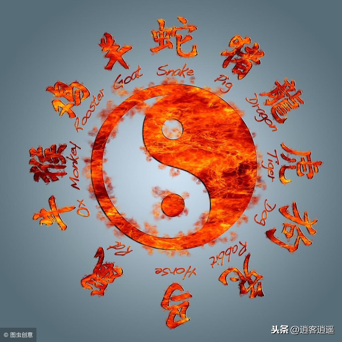 地支在八字中的意象__八字地支象意