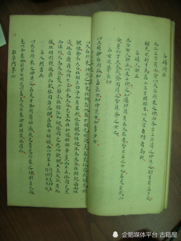 掐指神通术有什么功能_掐指神咒_