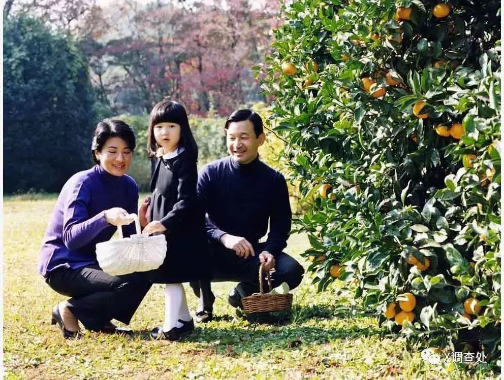 神话血脉_神话血脉下载_血脉圣神