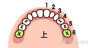 硬物_硬物堵在马桶弯道里怎么办_硬物掉进蹲厕怎么办