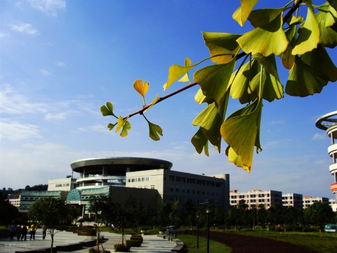 西南大学科技大学城市学院官网_西南科技大学城市学院简介_西南科技大学城市学院