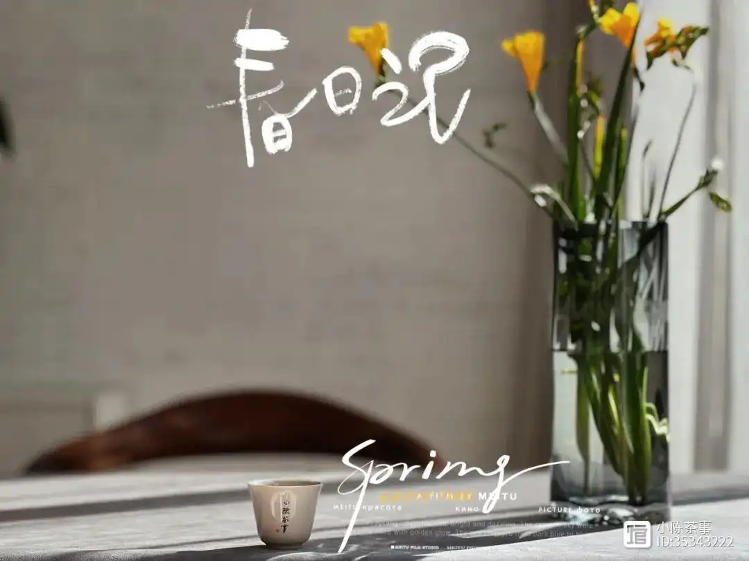喝茶叶泡茶有什么好处_茶叶泡水喝_