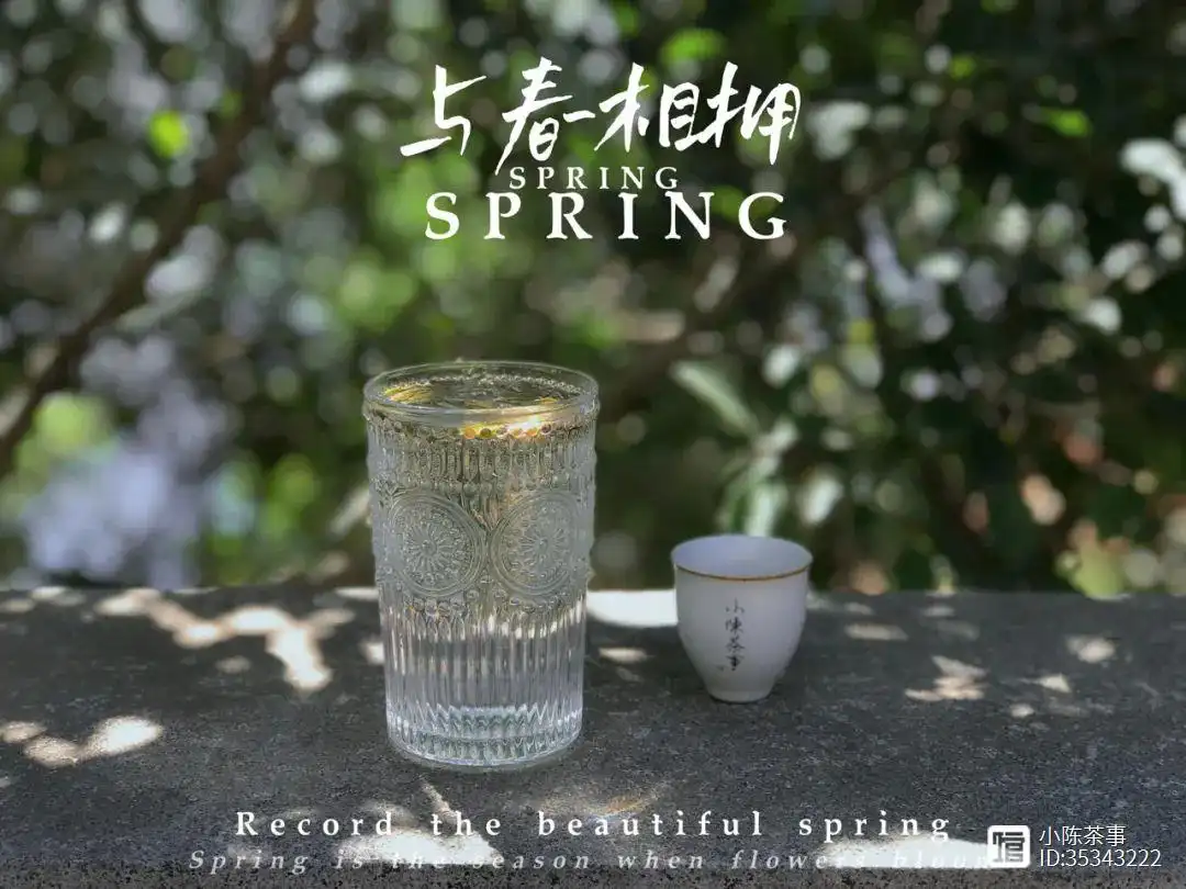 _茶叶泡水喝_喝茶叶泡茶有什么好处
