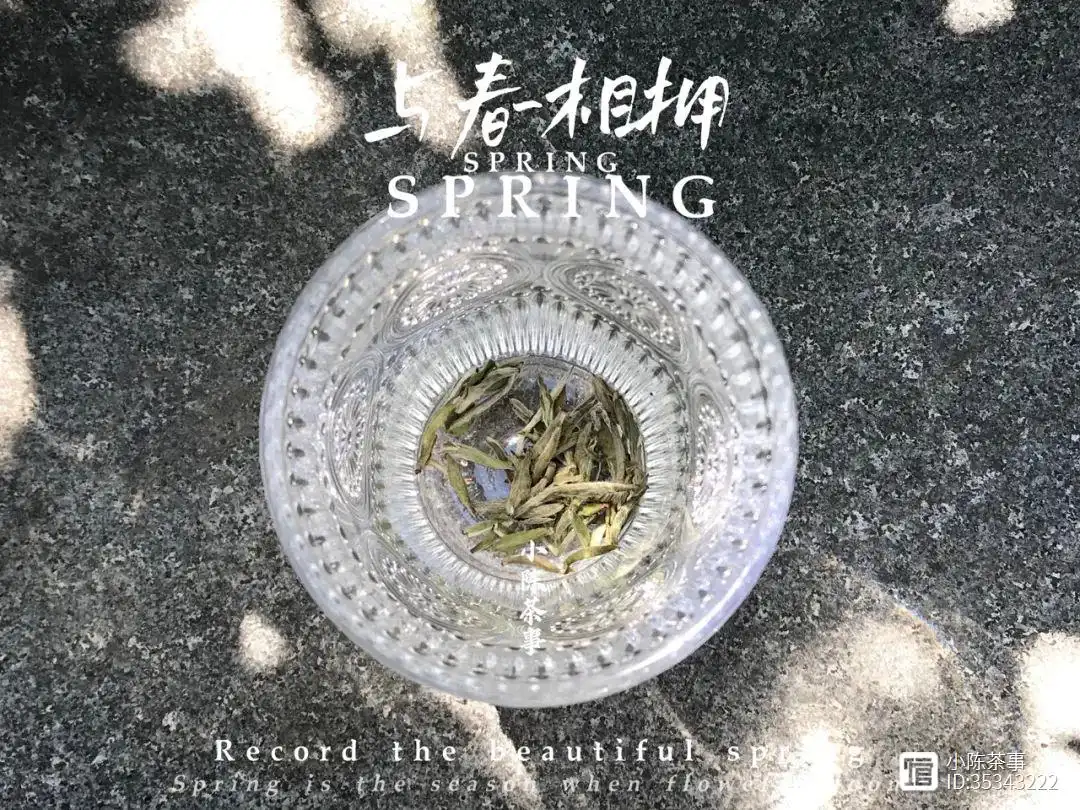 茶叶泡水喝_喝茶叶泡茶有什么好处_