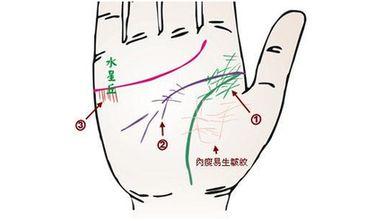让拥有这样掌纹的女人做一次真男人