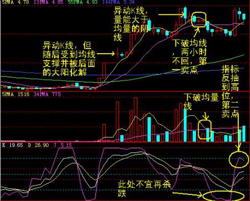 口袋超市是什么意思_口袋是干嘛的_