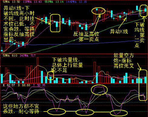 _口袋是干嘛的_口袋超市是什么意思