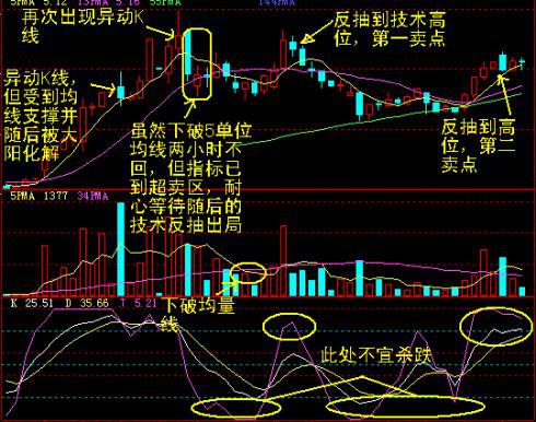 _口袋是干嘛的_口袋超市是什么意思