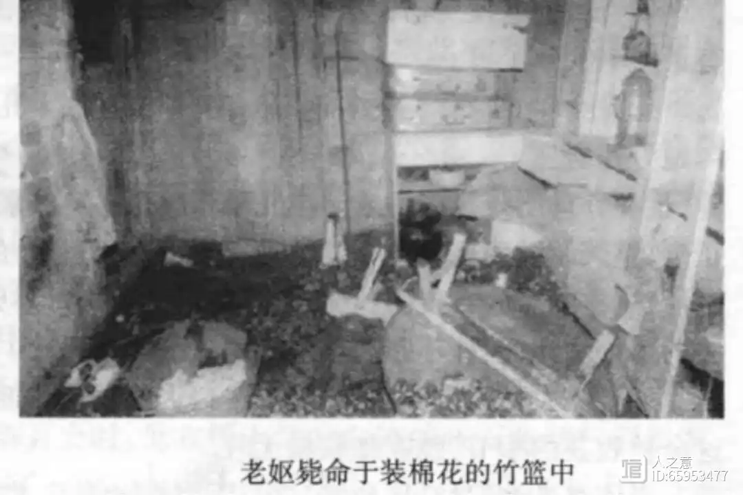 毙命老妪不简单！1995年仙桃市毛嘴镇“10·13”凶杀案侦破始末