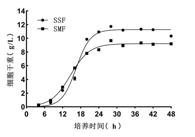 毕赤酵母固态发酵诱导产酶