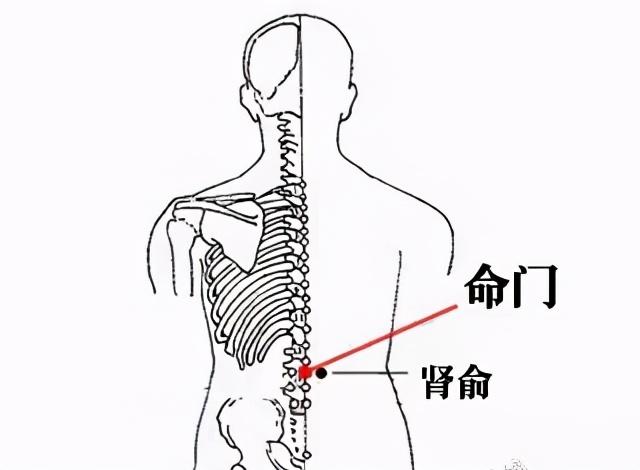 人体有三扇神奇的“门”