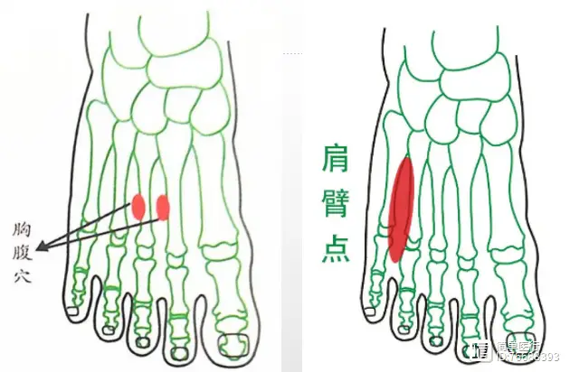 _【一起学】宣宾老师外治法之点穴疗法系列：特效部位之“胸腹穴”..._【一起学】宣宾老师外治法之点穴疗法系列：特效部位之“胸腹穴”...